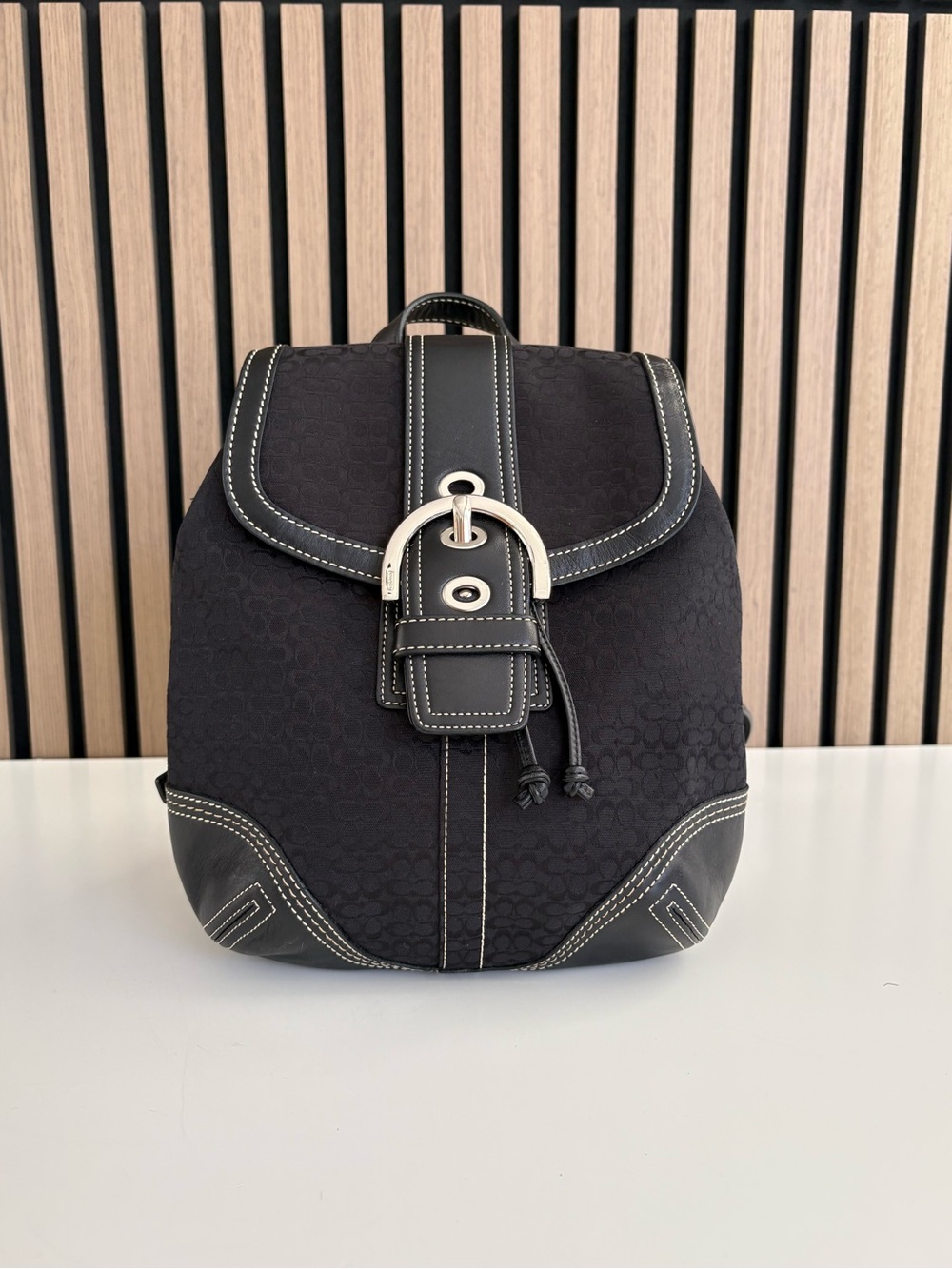Y2K COACH Backpack